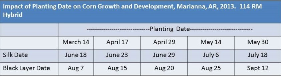 Impact-of-Planting-Date-on-Corn-Growth-and-Development-Trial.png
