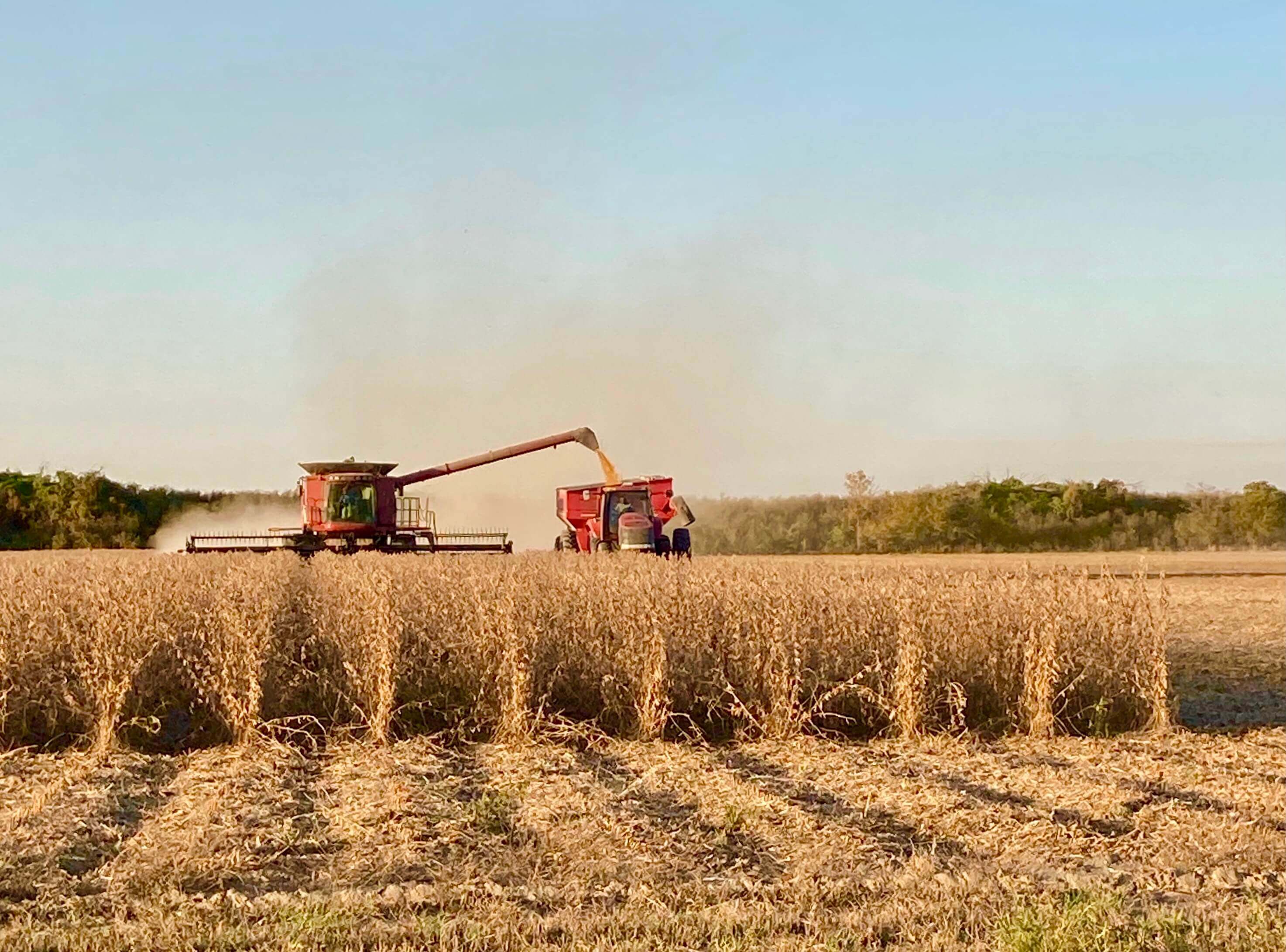 Harvest Progress Report