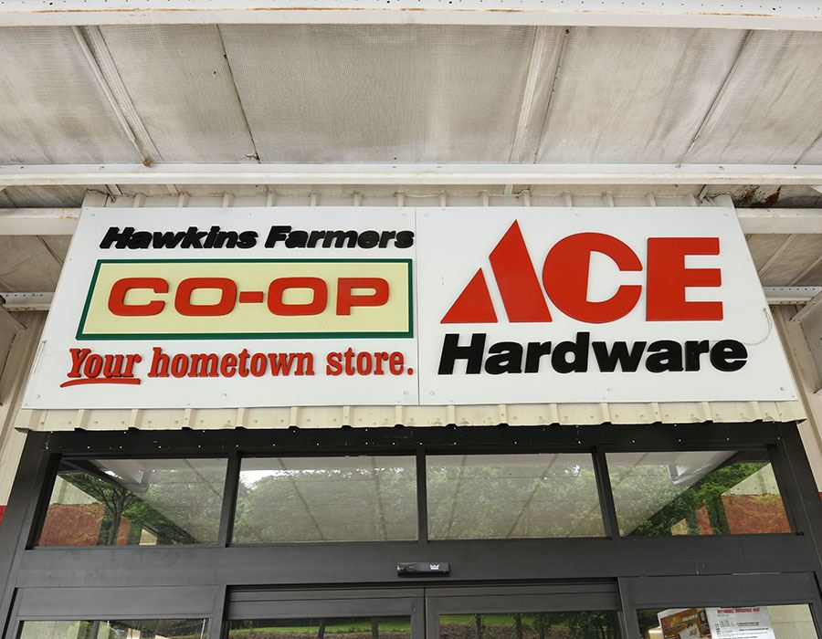 Home -Ace Hardware