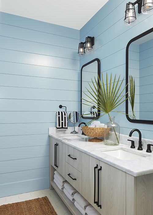 Blue bathroom with shiplap walls and double vanity.