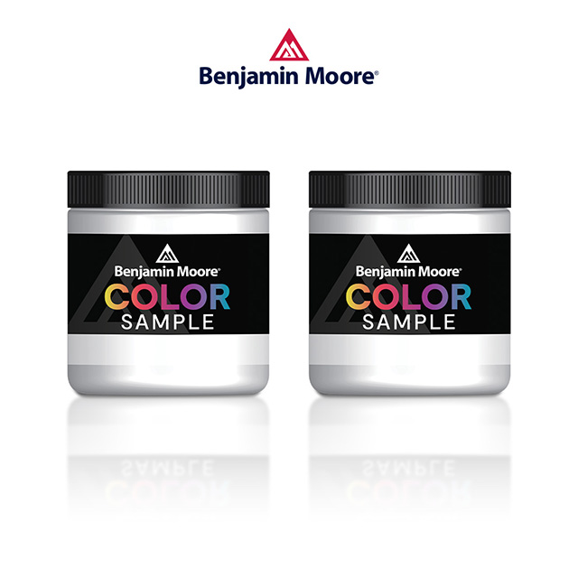 Benjamin Moore Color Sample cans.