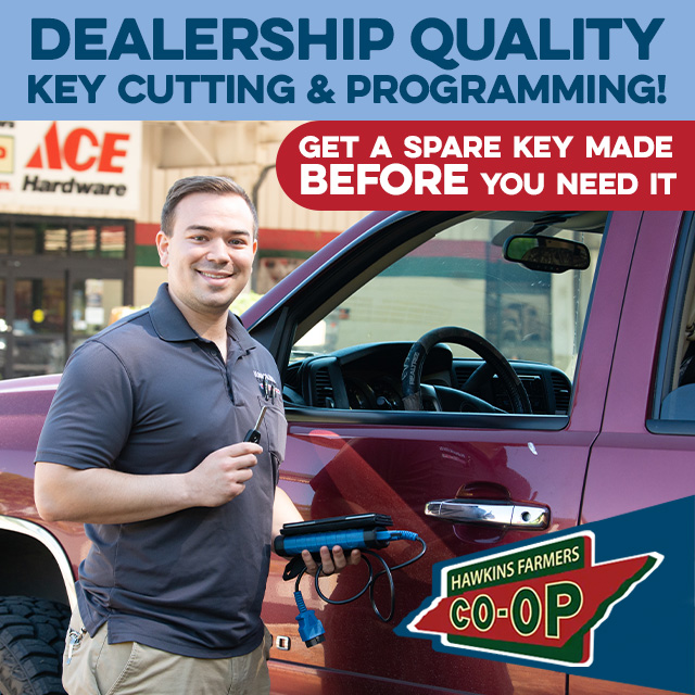 Dealership quality key cutting and programming.