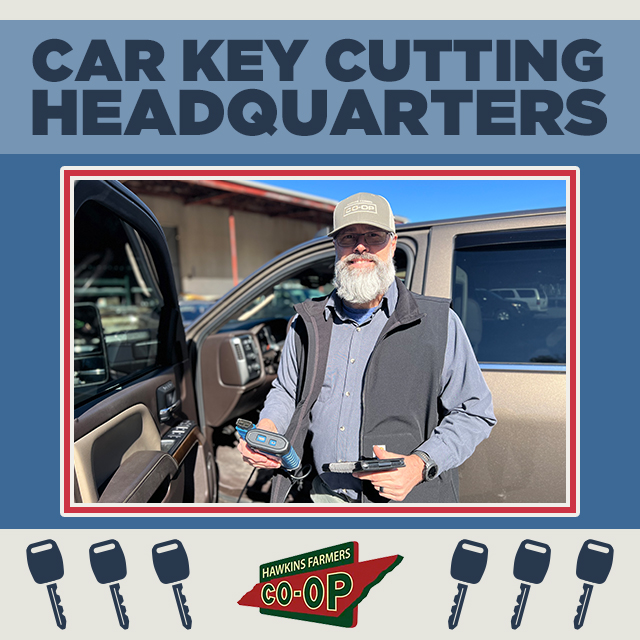Dealership quality key cutting and programming.