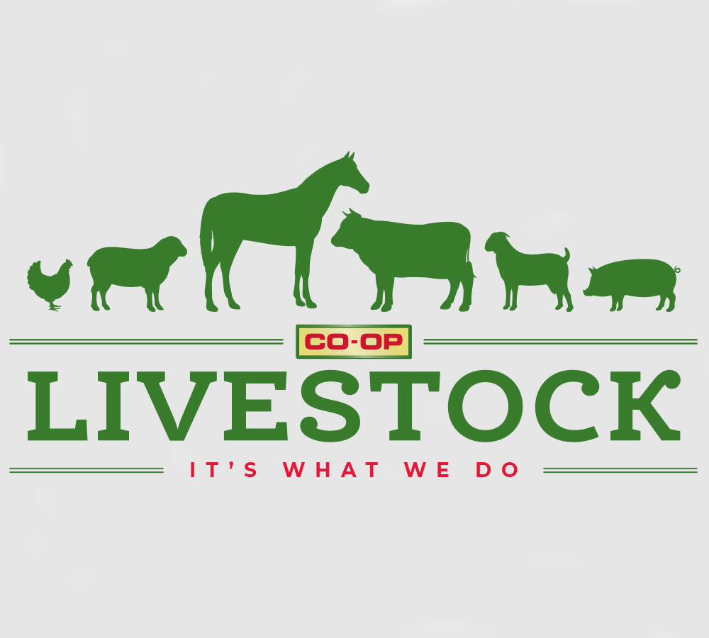 coop-livestock-logo-chosen-concept-1000x900.jpg