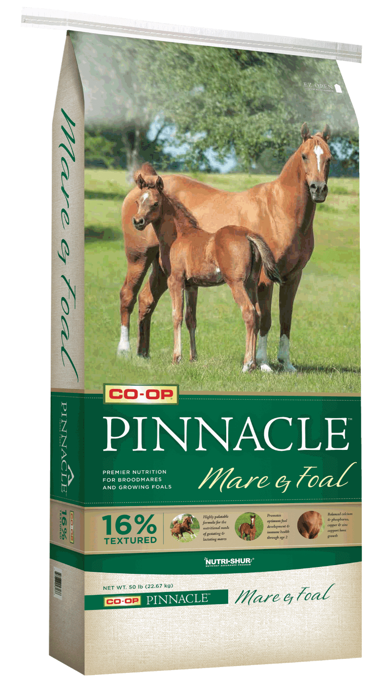 pinnacle-mare-foal-bag.png