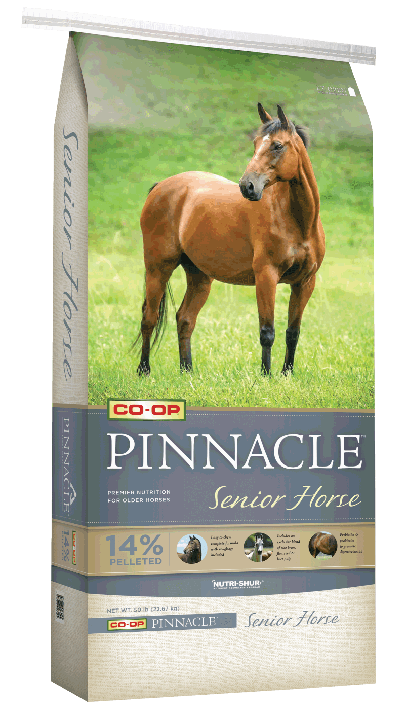 pinnacle-senior-horse-bag.png