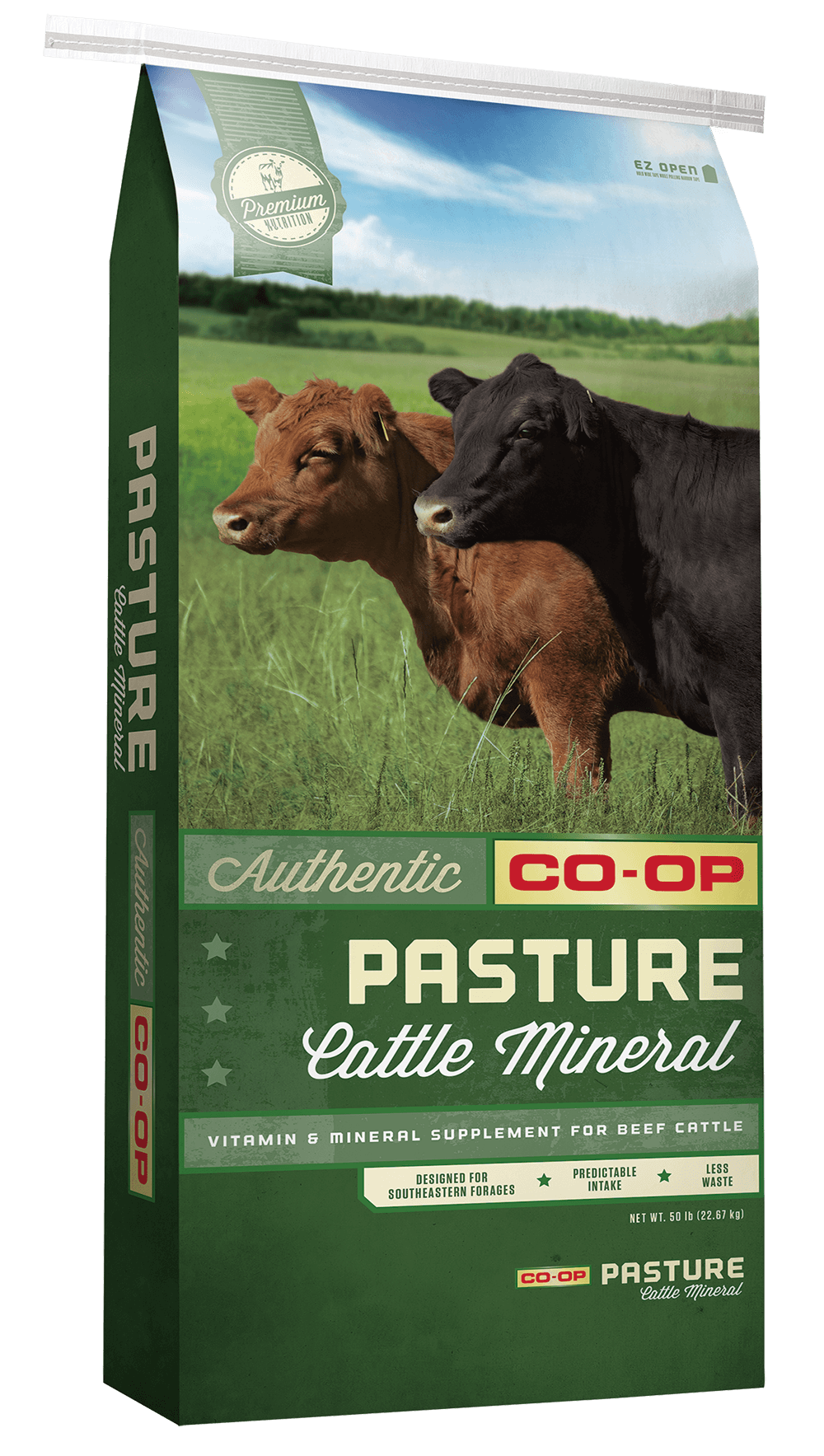 TFC-cattle-mineral-pasture