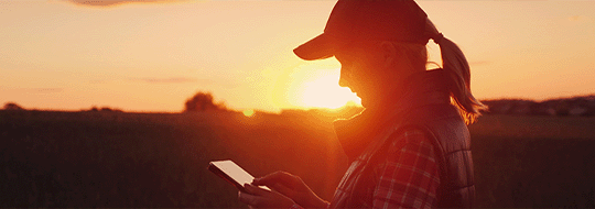 Woman Looking at Electronic Tablet Standing in a Field at Sunset