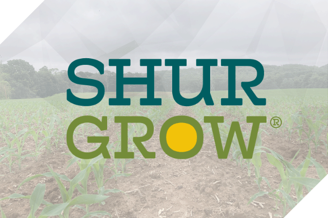 Shur Grow Logo Overlay On Field of Emerging Crops