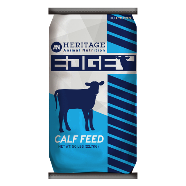 22 Dairy Calf R50