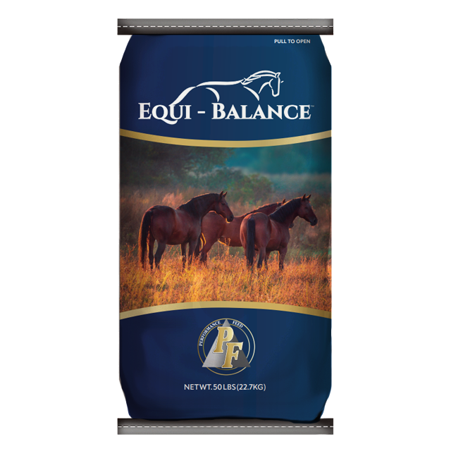 Equi-Balance Bag