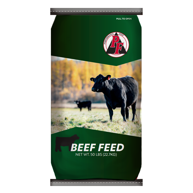 Performance Beef Feed