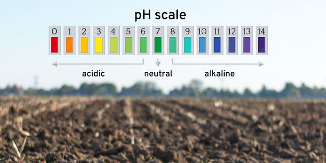 DIY Soil Ph Meter Using Soil Ph Sensor And Arduino 58 OFF