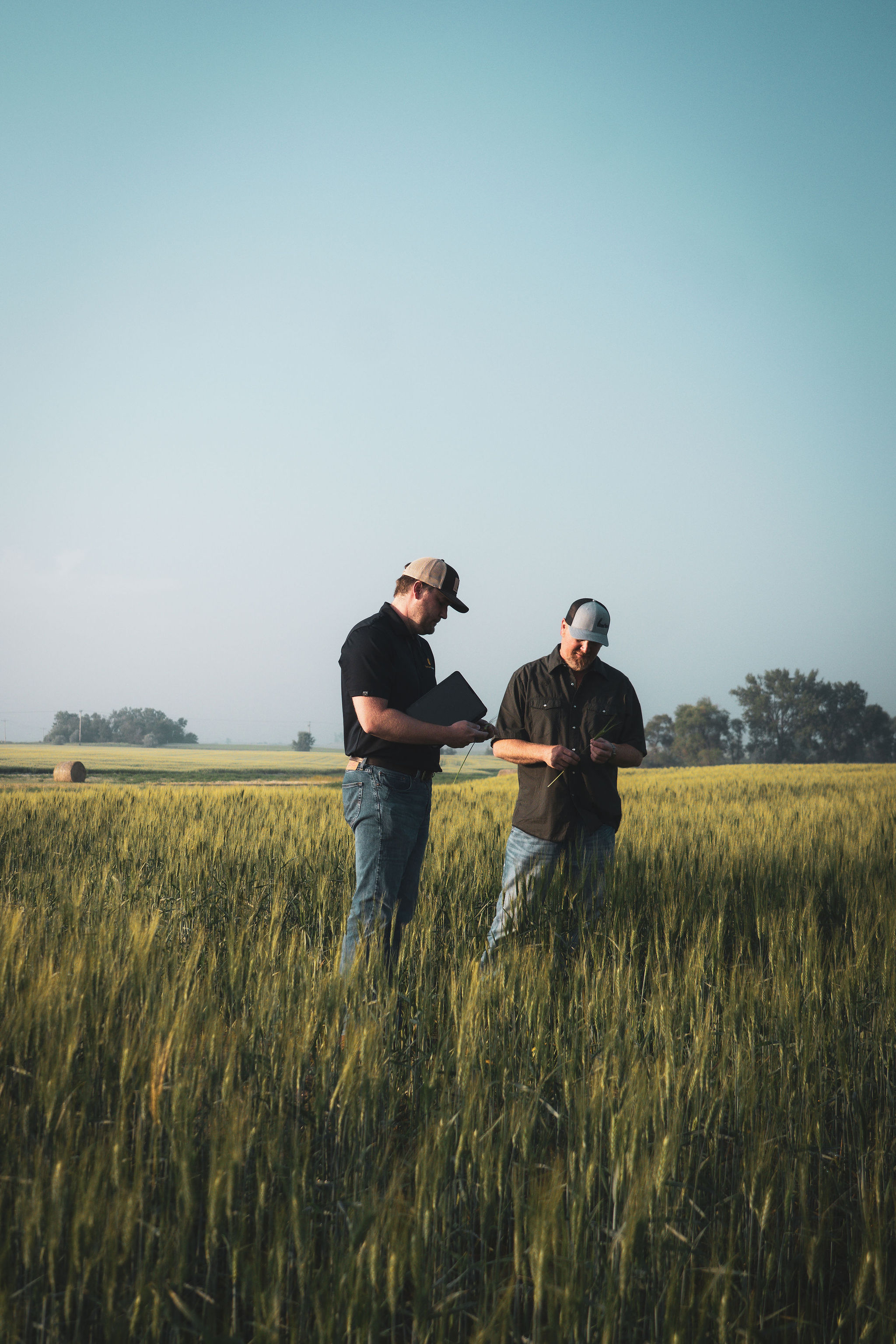 machine-work-in-field