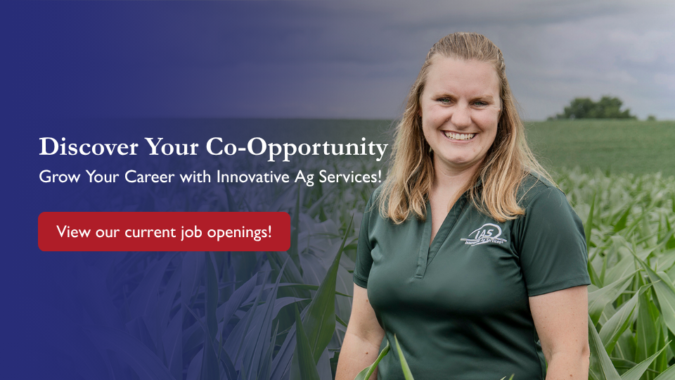 View Our Job Openings