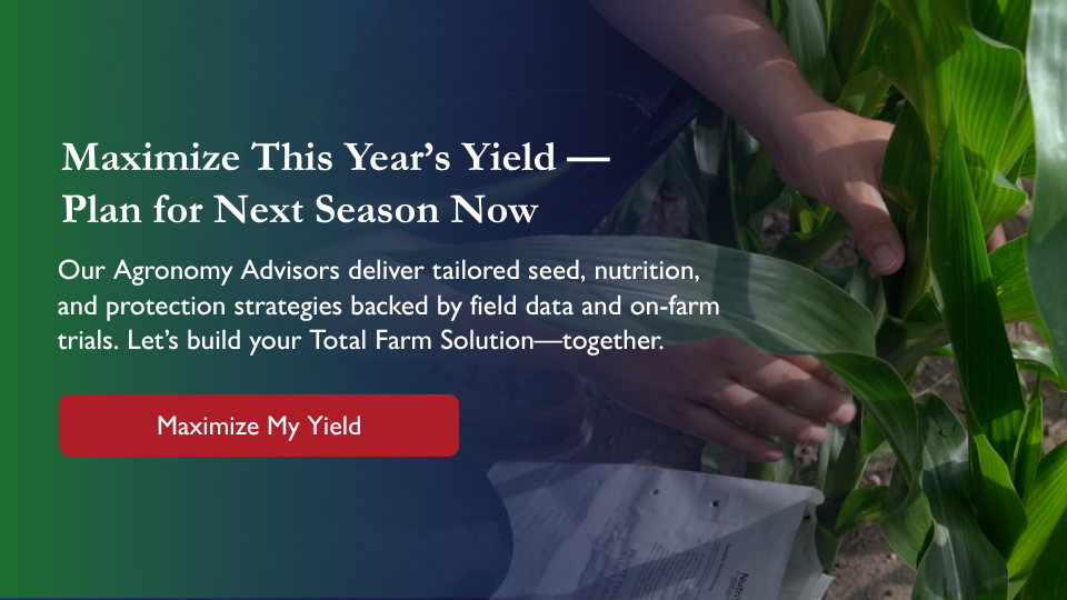 Maximize This Year's Yield