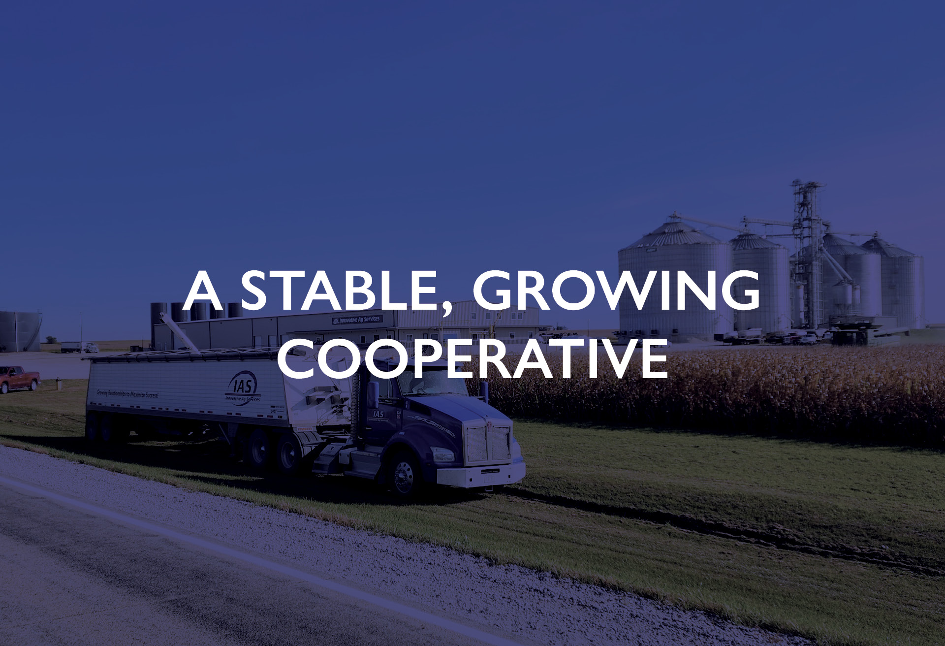 A Stable, Growing Cooperative