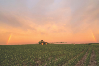 Spraying Young Corn In Field at Sunset with Sun Dogs