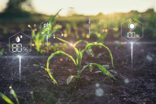 Artificial Intelligence in Agriculture