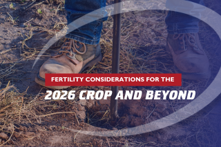 Fertility Considerations for the 2026 Crop and Beyond