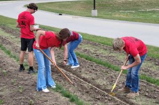 monticello ffa group working in garden