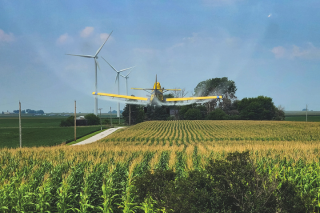 plane spraying corn field
