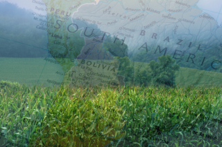 South America Map Overlay Corn Field