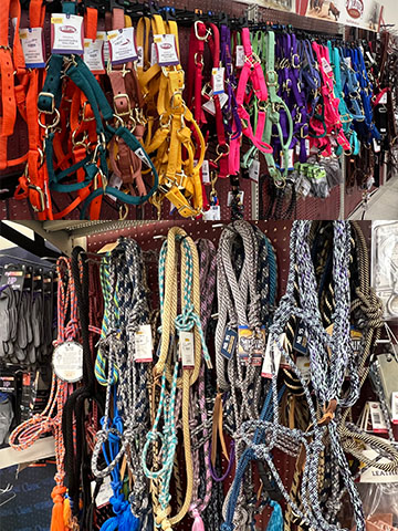 A wall covered in robe halters in various colors.