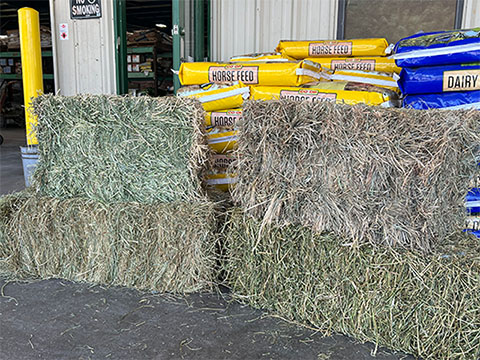 Bales of hay with bags of horse feed behind them.