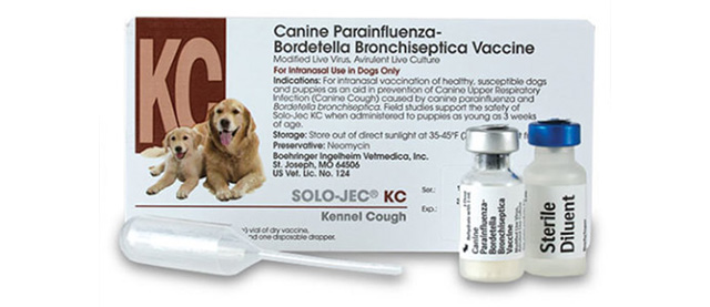 A bag with a pet vaccine in it.