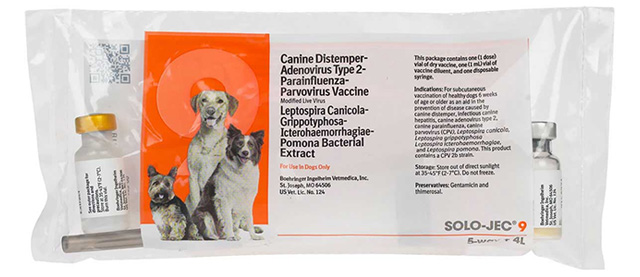 A bag with a pet vaccine in it.