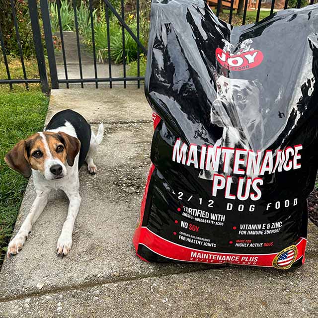 A dog sitting in front of a bag of JOY Dog Food.