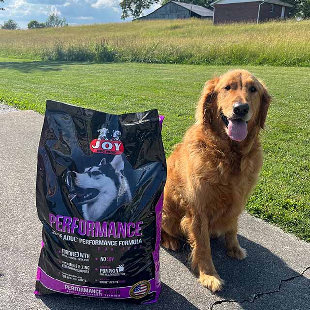 A dog sitting in front of a bag of JOY Dog Food.