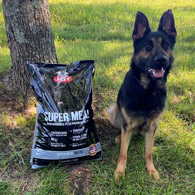 A dog sitting in front of a bag of JOY Dog Food.