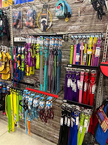 Wall display of leashes and collars.