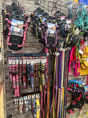 Wall display of leashes and collars.