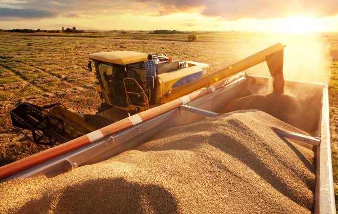 Grain Truck