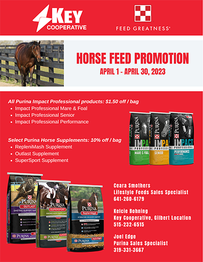 April-Horse-Promo-Flyer_400x517.png