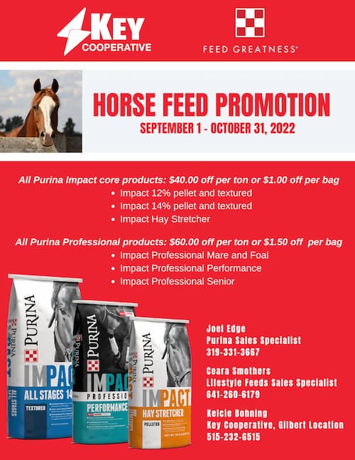 October-Horse-Promo-Flyer.png