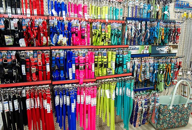 A wall of pet collars and leashes.