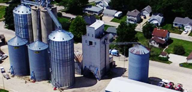 Content Image Alt Text