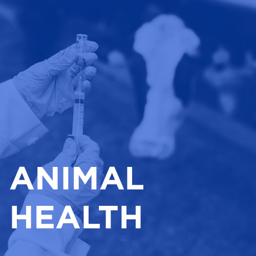 Animal Health