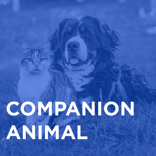 Companion Animal Category