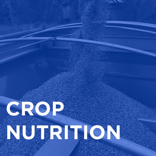 Crop Nutrition