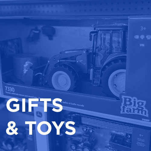 Gifts & Toys Category