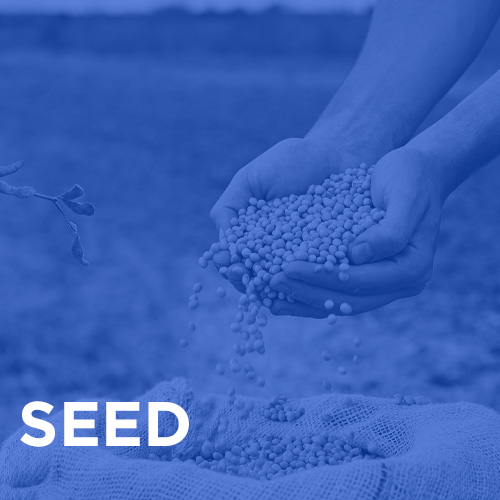 Seed Catgory