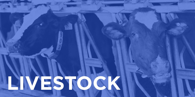 Livestock Category