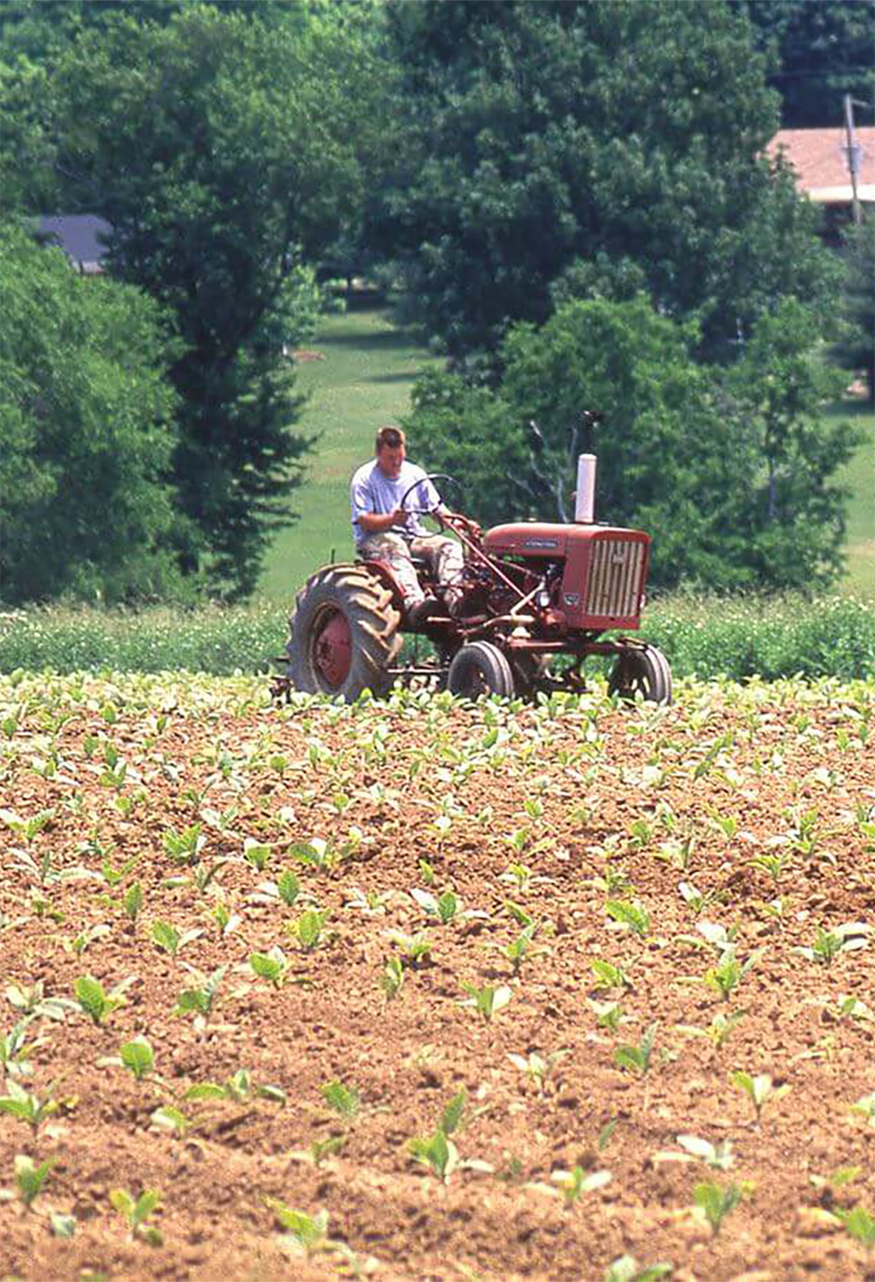 A historic photo of a farmer plowing a field