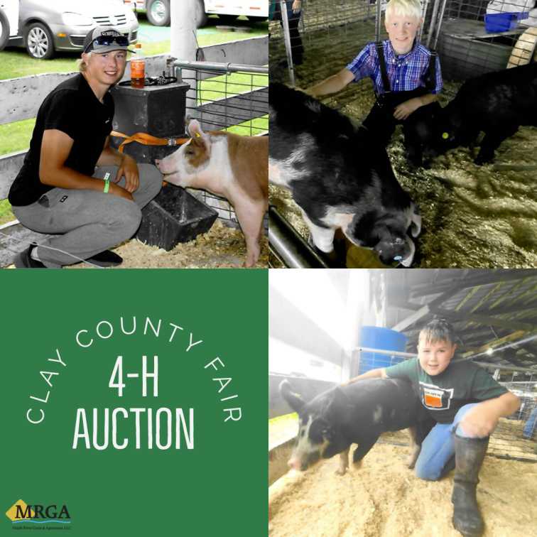 The three winners from the Clay County Fair Auction
