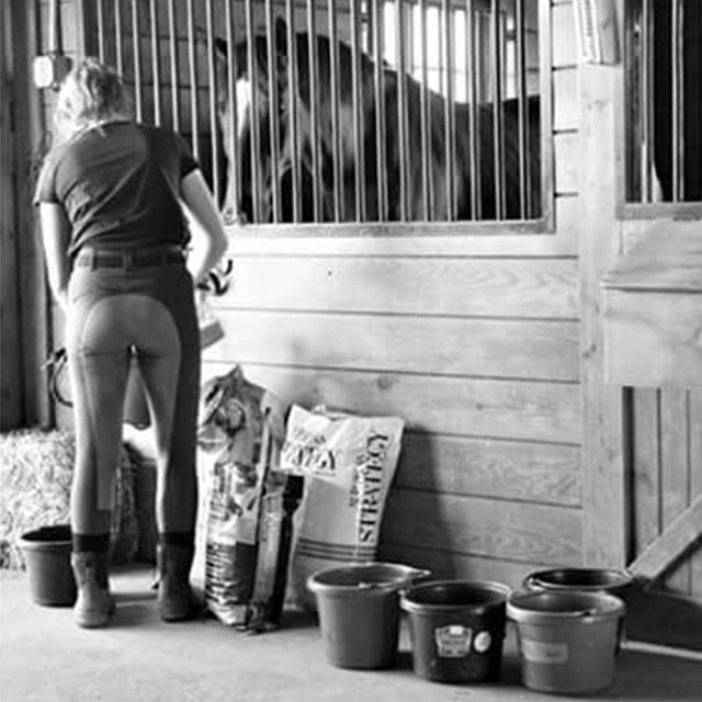 Six Common Horse Feed Additives